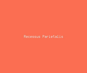 recessus parietalis meaning, definitions, synonyms